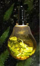 Load image into Gallery viewer, Dax - Garden Globe Pendant Light