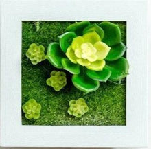 Load image into Gallery viewer, Paityn - Artificial Plant 3D Box Planter