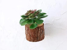 Load image into Gallery viewer, Woody - 3D Imitation Trunk Wall Planter