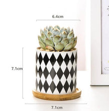 Load image into Gallery viewer, Rory - Round Geometric Pattern Flower Pot