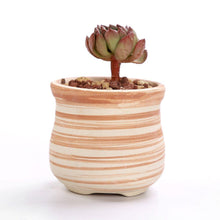 Load image into Gallery viewer, Set of 6 Ceramic Wooden Pattern Flower Planter