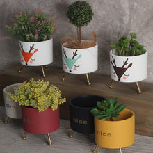 Load image into Gallery viewer, Jolie - Decorative Iron Frame Ceramic Flower Plant Pot
