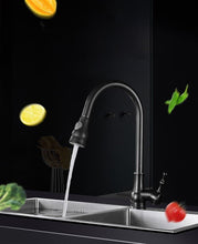 Load image into Gallery viewer, Roberto - Pull Down Kitchen Faucet