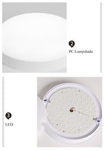 Load image into Gallery viewer, Keaton - Waterproof Ceiling Light