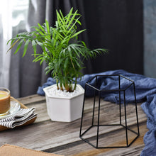 Load image into Gallery viewer, Dynesty - Hexagon Ceramic Planter &amp; Stand
