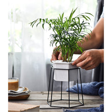 Load image into Gallery viewer, Dynesty - Hexagon Ceramic Planter &amp; Stand
