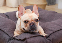 Load image into Gallery viewer, Lola - Large Pet Bed
