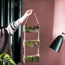 Load image into Gallery viewer, Moss - Vertical Hanging Bark Planter
