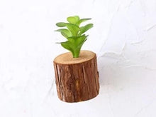 Load image into Gallery viewer, Woody - 3D Imitation Trunk Wall Planter
