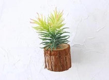 Load image into Gallery viewer, Woody - 3D Imitation Trunk Wall Planter
