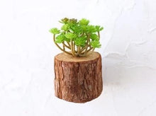 Load image into Gallery viewer, Woody - 3D Imitation Trunk Wall Planter
