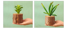 Load image into Gallery viewer, Woody - 3D Imitation Trunk Wall Planter
