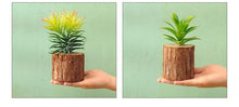 Load image into Gallery viewer, Woody - 3D Imitation Trunk Wall Planter

