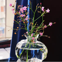 Load image into Gallery viewer, Pomegranate Glass Vase
