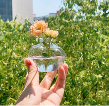 Load image into Gallery viewer, Pomegranate Glass Vase
