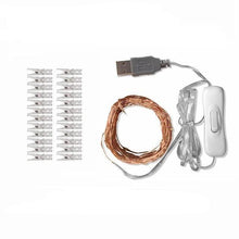 Load image into Gallery viewer, Strung - LED Fairy Light String with Photo Clips
