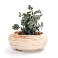 Load image into Gallery viewer, Set of 6 Ceramic Wooden Pattern Flower Planter
