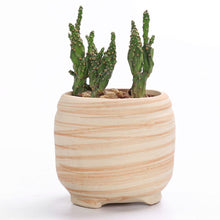 Load image into Gallery viewer, Set of 6 Ceramic Wooden Pattern Flower Planter
