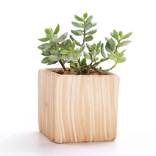 Load image into Gallery viewer, Set of 6 Ceramic Wooden Pattern Flower Planter
