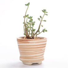 Load image into Gallery viewer, Set of 6 Ceramic Wooden Pattern Flower Planter
