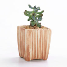Load image into Gallery viewer, Set of 6 Ceramic Wooden Pattern Flower Planter
