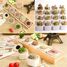 Load image into Gallery viewer, Ziva - Decorative Squared Plastic Flower Pot
