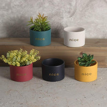 Load image into Gallery viewer, Jolie - Decorative Iron Frame Ceramic Flower Plant Pot
