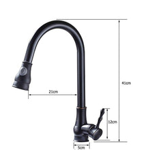 Load image into Gallery viewer, Roberto - Pull Down Kitchen Faucet

