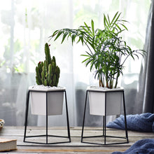 Load image into Gallery viewer, Dynesty - Hexagon Ceramic Planter &amp; Stand
