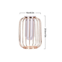 Load image into Gallery viewer, Florin - Modern Iron Frame Vase
