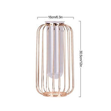 Load image into Gallery viewer, Florin - Modern Iron Frame Vase
