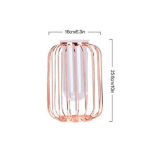 Load image into Gallery viewer, Florin - Modern Iron Frame Vase
