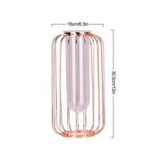 Load image into Gallery viewer, Florin - Modern Iron Frame Vase
