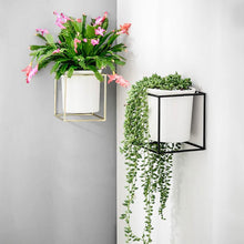 Load image into Gallery viewer, Fenella - Metal Frame Modern Planter
