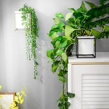 Load image into Gallery viewer, Fenella - Metal Frame Modern Planter

