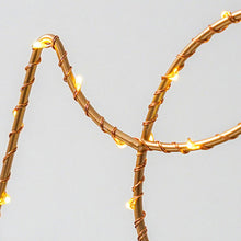 Load image into Gallery viewer, Amor - LED Love Fairy Light
